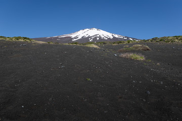 Top of Mt.Fuji with snow and Mt.Fuji natural recreation forest trail in spring