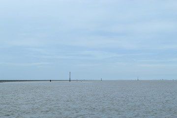 Natural forest and sky at Don Hoi lot in Women looking for Snail shells on the sea floor mud at Don Hoi lot in Samut songkham , Thailand..