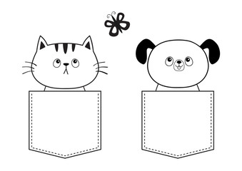 Dog cat in the pocket, flying butterfly. Doodle linear sketch. Cute cartoon pet animal. Puppy pooch character. Dash line. White and black color. T-shirt design. Baby background. Isolated. Flat