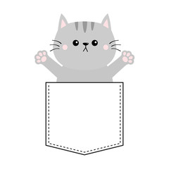 Gray cat in pocket. Holding hands up. Give me a hug. Cute cartoon animals. Kitten kitty character. Dash line. Pet animal . White background. T-shirt design. Baby collection. Flat design