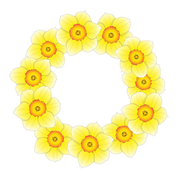 Yellow Daffodil - Narcissus Flower Wreath