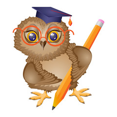 Owl bird student with pencil, stands. Isolated drawing, icon. Character cartoon. Vector illustration.
