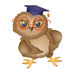 Owl bird student  , stands. Isolated drawing, icon. Character cartoon. Vector illustration.