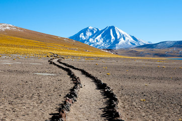 Miscanti Lagoon - Chile