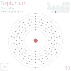 Infographic of the element of Neptunium.