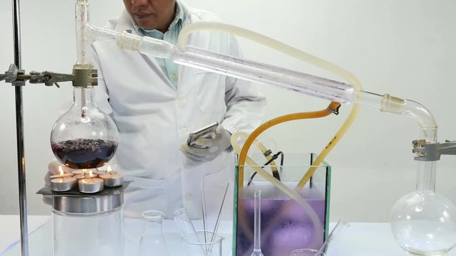boiling blueberry in Laboratory refining equipment distillation of alcohol and perfume from Blueberry.