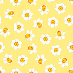 White Daffodil - Narcissus Flower on Yellow Background