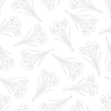 Daffodil - Narcissus Outline Seamless on White Background