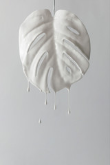 White painted monstera tropical leaf with dripping paint.  Minimal nature still life concept. © Zamurovic Brothers