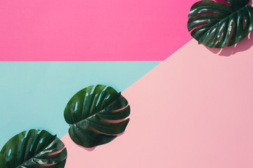 Creative layout made of tropical leaves on pastel pink and blue background. Minimal summer exotic concept with copy space.