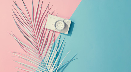 Vintage camera and palm leaves on pastel pink and blue background with copy space. Summer is coming concept. Minimal flat lay. © Zamurovic Brothers