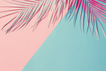 Painted palm leaves on pastel pink and blue background with copy space. Tropical summer concept. Minimal flat lay.