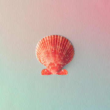 Red seashell on gradient pink and blue background. Minimal summer flat lay.