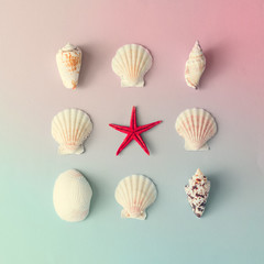 Creative seashell pattern on gradient pastel pink and blue background with red starfish. Summer flat lay.