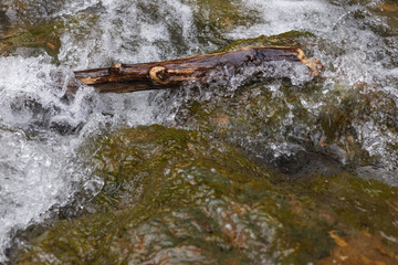 rough mountain river in a park in Sochi