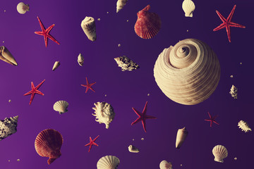 Creative pattern made of shells and sea marine life. Abstract space or universe with planets....