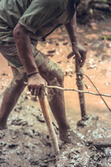 Indian farmer plowing rice fields using traditional plough.