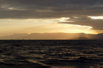 sailing regatta at sunset