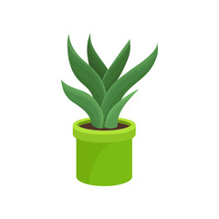 Aloe vera in bright green ceramic pot. Medical plant. Houseplant for interior. Flat vector for home decor or flower shop