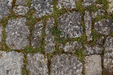 Square texture of natural stone wall with green  grass growing between cobbles and moss