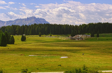 Verdi vallate
