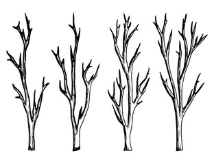 twigs drawing of a handmade monochrome vector. isolated on white background