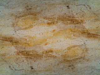 Surface bark of eucalyptus tree.