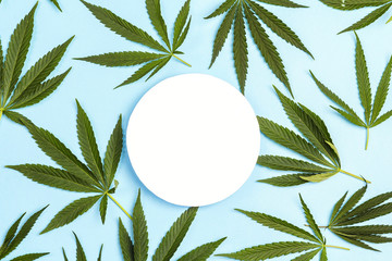 Blank round rpaper card with fresh leaves of hemp on  blue background.