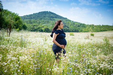 Beautiful pregnant woman on summer field
