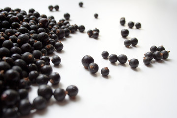 Black currant berries isolated on white background