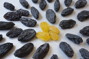 yellow raisins inside blue on grey background. vegetarian food