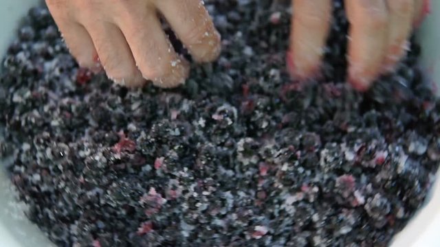 The cook prepares jam from the black currant