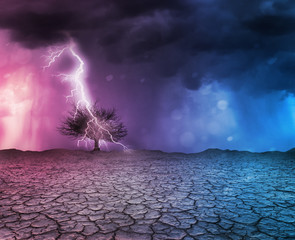 Lightning strike a tree