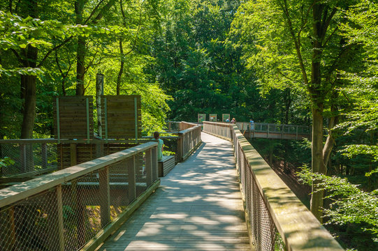 Tree-top walk in Prora