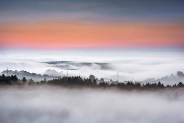morning color landscape with fog