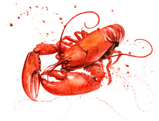 Lobster Watercolour