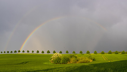 double, beautiful, multi-colored rainbow after passing a spring downpour over a green field