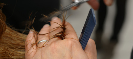 Hairdresser Cutting Hair  