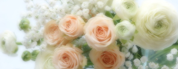 Blur effect, soft focus flowers background with bouquet of pale pink  roses.Close up. Beautiful...