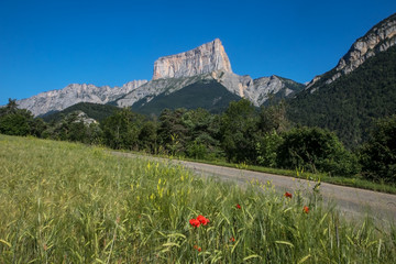 Massif du Vercors avec le Mont Aiguille et son coquelicot