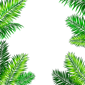 Tropical frame with palm leaves and space for your text. Blue sky background. Vector tropical design.