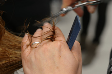 Naklejka premium Hairdresser Cutting Hair 