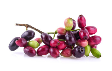 Jambolan plum or Java plum isolated on white background