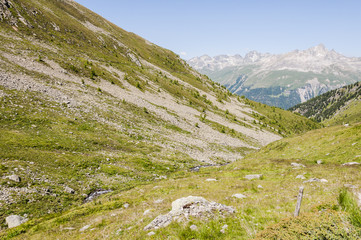 Fototapeta na wymiar Muottas Muragl, Val Muragl, Ova da Muragl, Wanderweg, Panoramaweg, Alpen, Oberengadin, Graubünden, Sommer, Schweiz