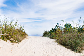 Fototapeta na wymiar Dune with beach grass in the foreground.