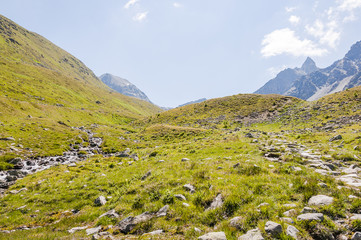 Fototapeta premium Muottas Muragl, Val Muragl, Wanderweg, Panoramaweg, Schafberg, Alpen, Oberengadin, Graubünden, Sommer, Schweiz