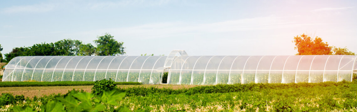 greenhouses in the field for seedlings of crops, fruits, vegetables, lending to farmers, farmlands, agriculture, rural areas, agro-industrial complex. winter crops. banner