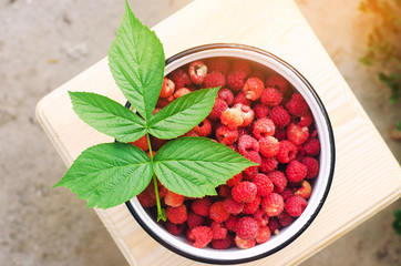 fresh raspberry in a bowl is in the garden on a background of green grass. summer harvest. red berry. healthy food. top view.