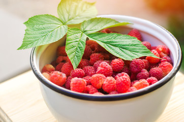fresh raspberry in a bowl is in the garden on a background of green grass. summer harvest. red berry. healthy food.