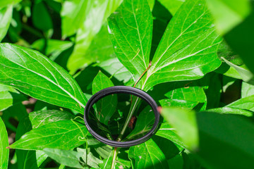 polarizing filter for the camera